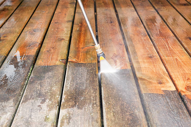 Best Pressure Washing Company Near Me  in Forest, MS