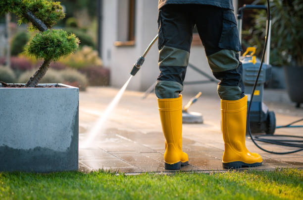 Best Affordable Pressure Washing  in Forest, MS